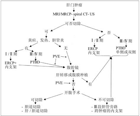 结论 肝门部和肝内胆管癌治疗 医学