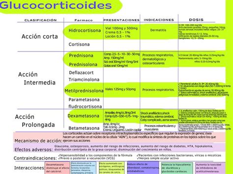 Glucocorticoides Dra Zitma Udocz