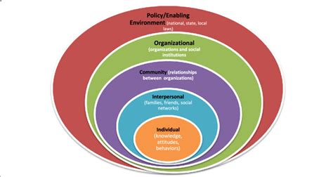 Hierarchical Levels In The Socioecological Model Adapted From The