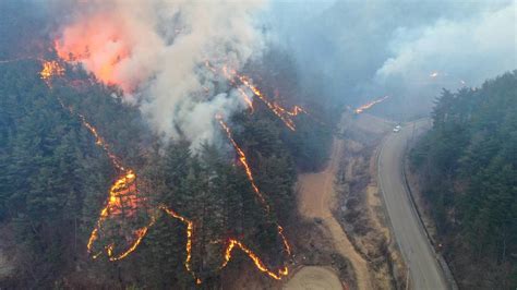 South Korean wildfire destroys dozens of homes, forces thousands to flee