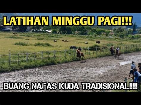 BUANG NAFAS KUDA PACU PERSIAPAN PACUAN KUDA TRADISIONAL GAYO 2023 YouTube