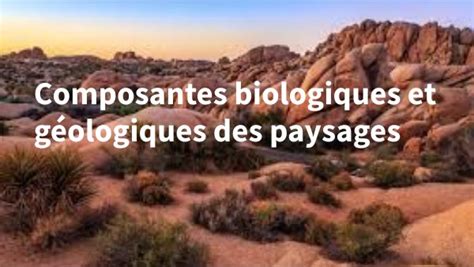 Composantes Biologiques Et G Ologiques Des Paysages