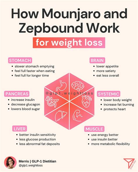 GLP-1 Meal Plan for Zepbound to Maximize Your Success (PDF) in 2025