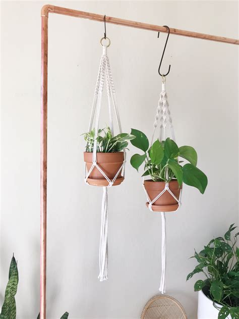 2030 Diy Hanging Plant Holder Homyracks