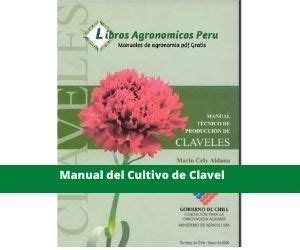 Manual Del Cultivo De Clavel Pdf Manuales De Agronomia 2025