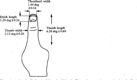 Table 1 From Thumb S Rule Tested Visual Angle Of Thumb S Width Is