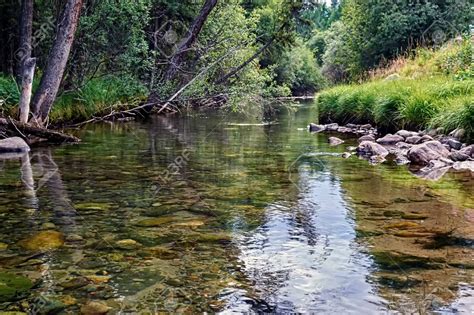 Qué significa soñar con un arroyo de agua limpia