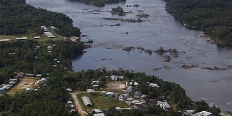 Desmatamento em áreas protegidas da Amazônia cai 73 em 2023 Correio