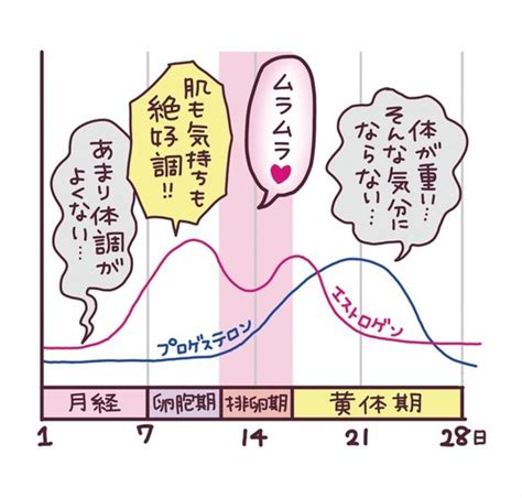 性欲が高まるのは40代？ 生理前はエッチがしたくなる？ 女性の「性欲」について医師が真面目に解説 Locari（ロカリ）