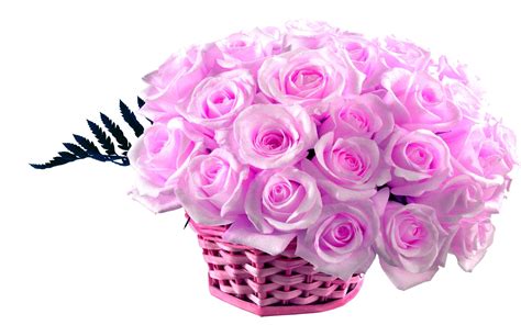 pink screensavers  backgrounds  coolwallpapersme
