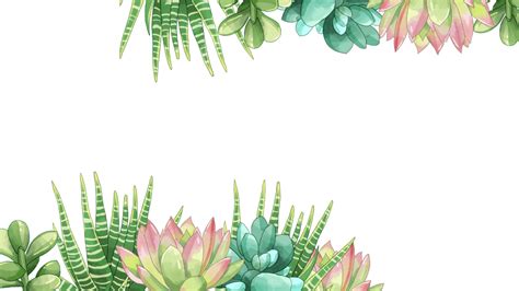 Ilustraci N Horizontal De Acuarela De Planta De Cactus Png Acuarela