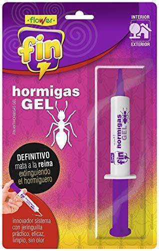 Mejor Insecticida Hormigas En Despu S Investigando Opciones