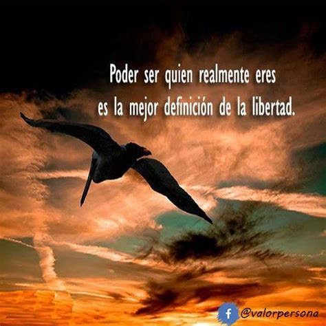 Total Imagen Frases De Aves Y Libertad Abzlocal Mx