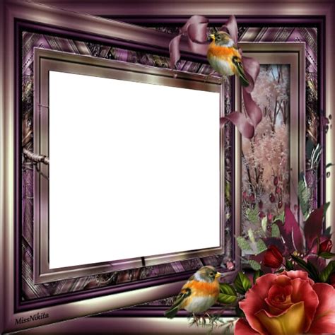 Cadre Photo Frame Effect Pixiz