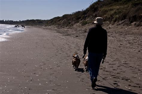 Paekakariki Beach: a photostudy