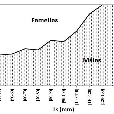 Évolution de la sex ratio en fonction de la taille chez Z ophiocephalus Download Scientific