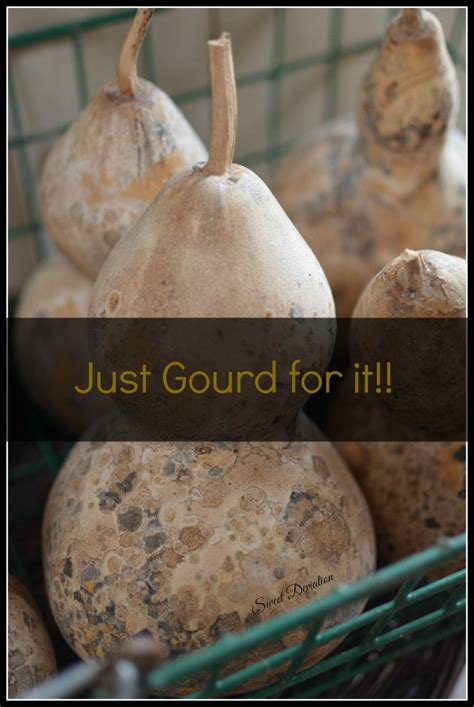 DIY GOURD CRAFT