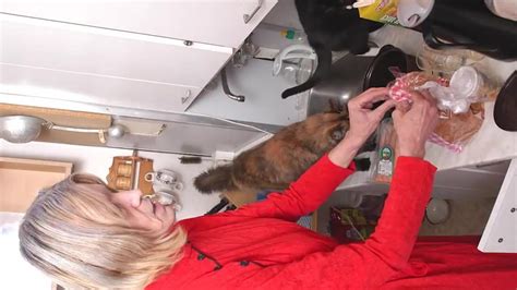 Omahotel Slideshow Granny Sex Compilation Video Hd Porn Xhamster