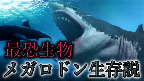 【最恐生物】絶滅していなかった古代の鮫 メガロドン生存説【都市伝説 大発見 未確認生物 メガロドン 巨大ザメ】 Youtube