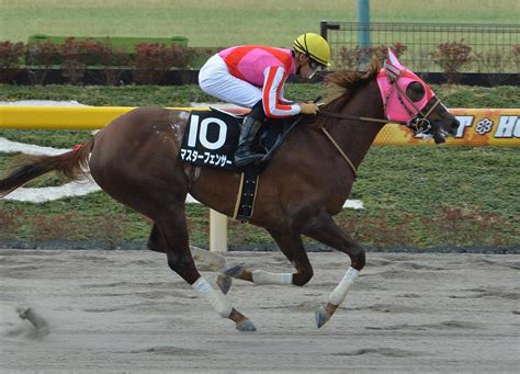 【白山大賞典】jra出走予定馬の発表｜競馬ニュース｜競馬予想のウマニティ