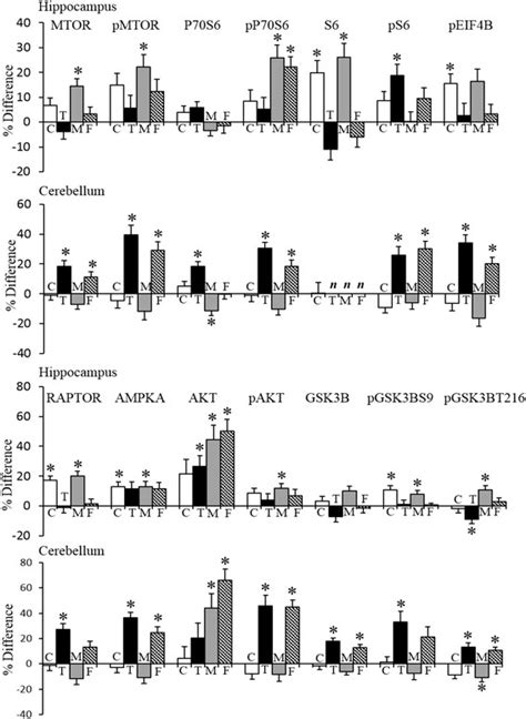 Sex And Genotype Differences In Levels Of Components Of The Mtor Download Scientific Diagram