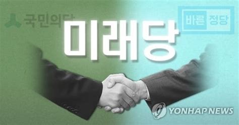 국민의당 청년정당 미래당 당명 쟁탈전 연합뉴스