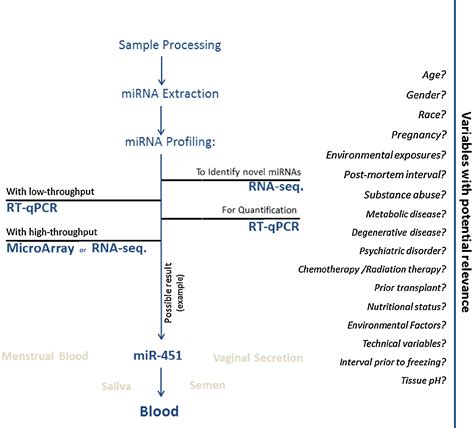 Forensic Mirna Potential Biomarker For Body Fluids Forensic Science