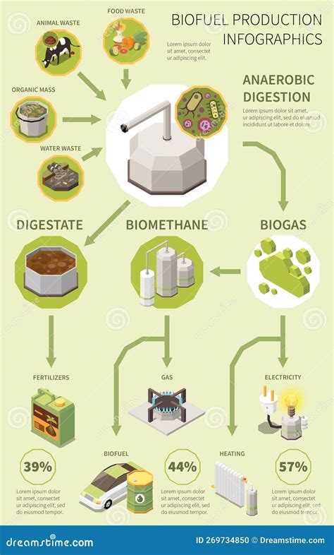 Biomethane Production Infographics Cartoon Vector CartoonDealer