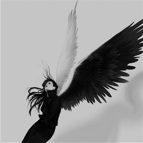 Angel Wings Hd Angel Demon White Angel Wings Black Wings Fairy