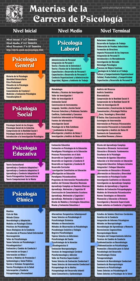 Tipos de carreras de psicología especializaciones y oportunidades