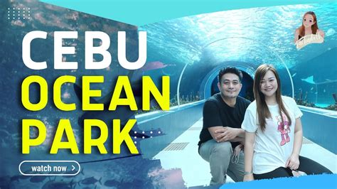 Cebu Ocean Park Biggest Oceanarium In Philippines Youtube