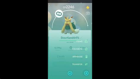 Pokemon Go - Shiny Stoutland evolution - YouTube