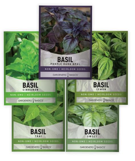 Gardeners Basics Basil Seeds Mmf For Planting Home Garden Variety