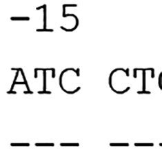 Alignment Of The Sequence Of Exon Of Drb With The Sequence