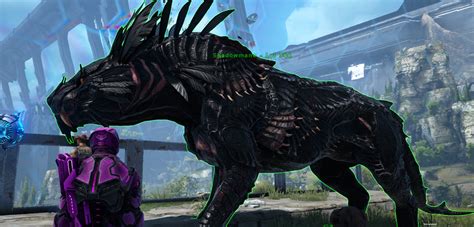 My beautiful Black shadowmane : r/ARK