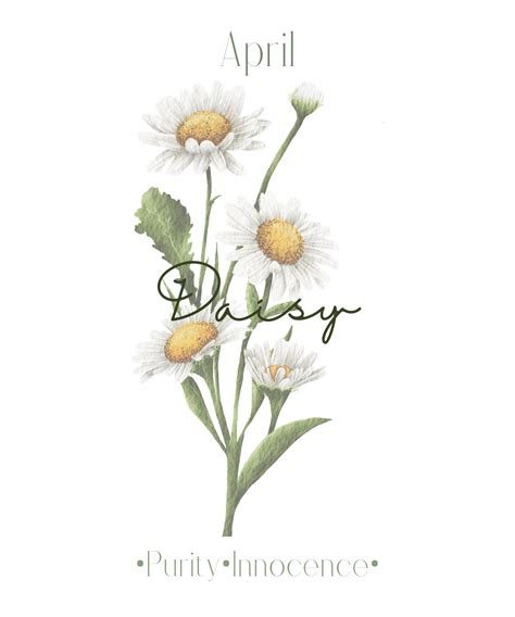 Birth Month Flowers Digital Printable Bundle 13 Files Transparent PNG ...