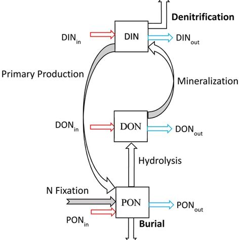 Reservoir Nitrogen Mass Balance Model With Three Pools Din Dissolved