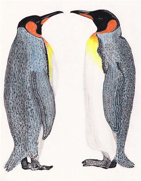 Penguin Couple Art Print Digital Download - Etsy Canada