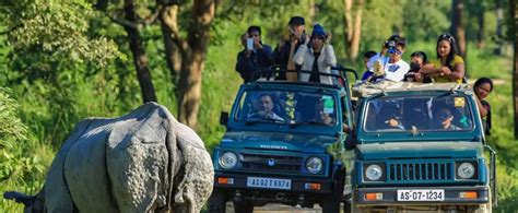 Nights Days Kaziranga National Park Tour Package Best Cost