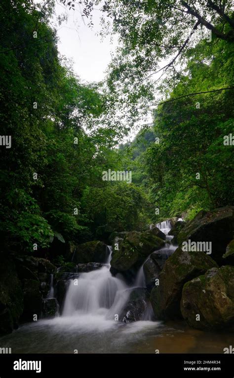 Mountain spring streams waterfall Stock Photo - Alamy