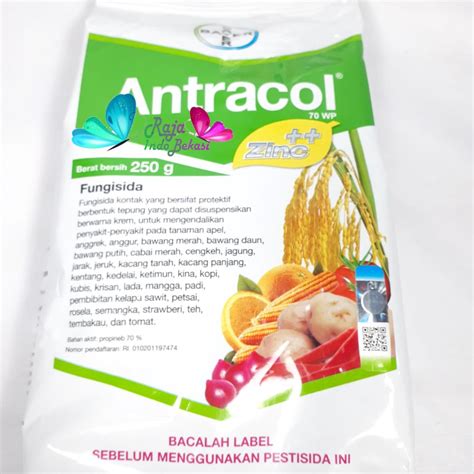 Jual Fungisida Antracol 70 Wp 250 Gram Gr Obat Tanaman Jamur Untuk