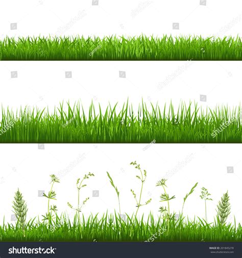 Grass Borders With Gradient Mesh Vector Illustration 201845278 Shutterstock