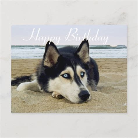 Feliz Cumpleaños Husky Husky Perro Postal Siberian Zazzle Es