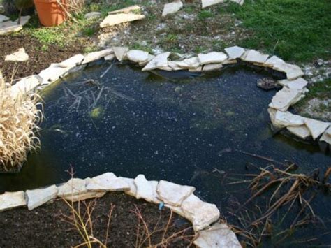 Une Mare Naturelle Au Jardin Visites Et M Thodes Le Potager Permacole