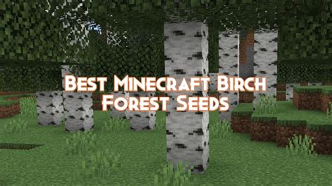 Best Minecraft Birch Forest Seeds - Pillar Of Gaming