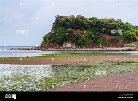 The Ness In Shaldon Seen From Teignmouth In Devon England Uk Stock