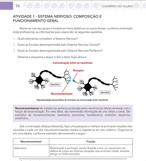 Atividades Sobre Sistema Nervoso 6 Ano Com Gabarito Edukita