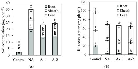 Effects Of 10 Days Sodic Alkalinity With 100 MM NaHCO 3 On Na