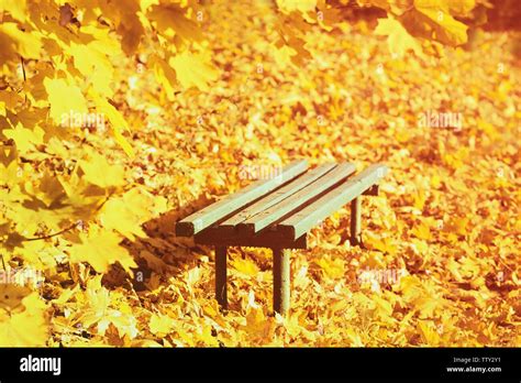 Wooden bench at autumn park Stock Photo - Alamy