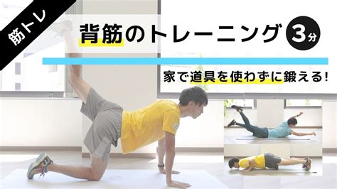 【背筋3分】背中に効かせる自重トレーニング。自宅でできる＆器具無し トレーニング×スポーツ『melos』